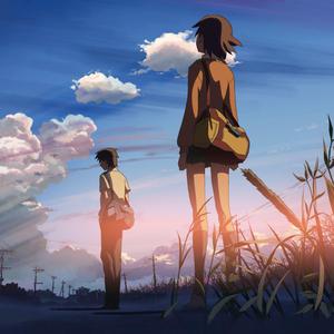 永久网址在线观看
