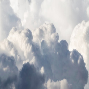 永久网址在线观看
