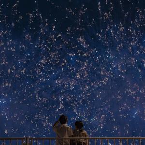 永久网址在线观看
