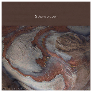 永久网址在线观看
